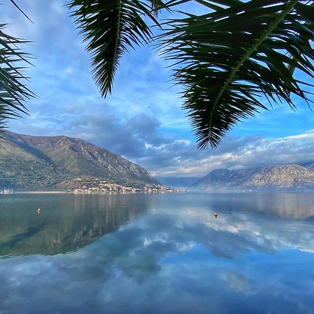 Sunny Bay Apartments Kotor Buitenkant foto