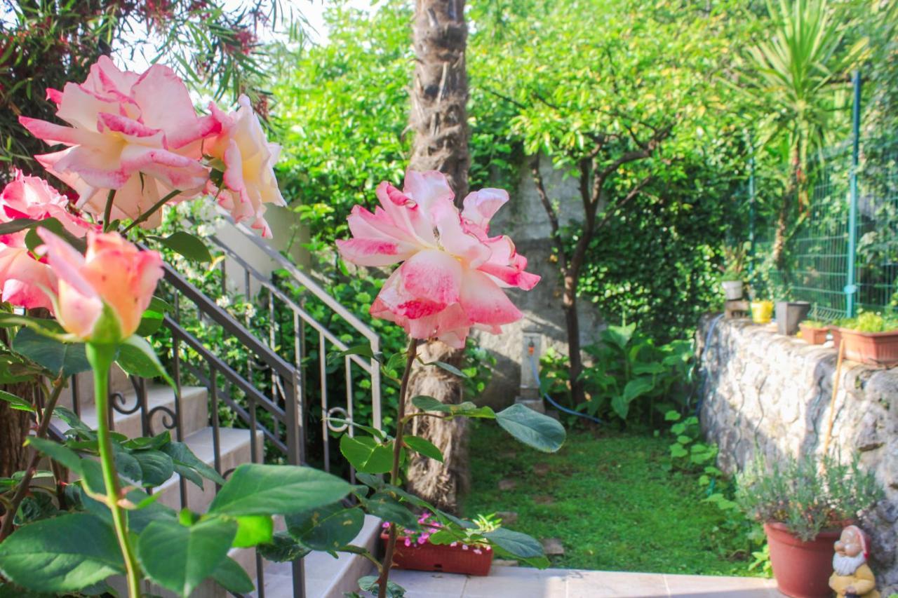 Sunny Bay Apartments Kotor Buitenkant foto