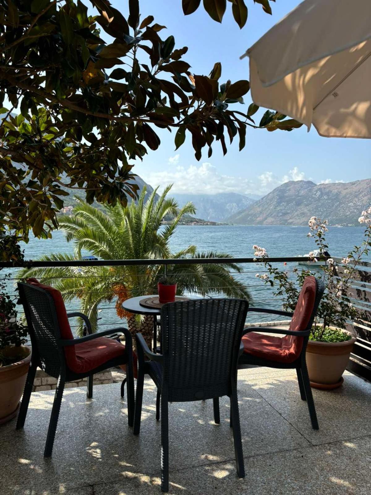 Sunny Bay Apartments Kotor Buitenkant foto